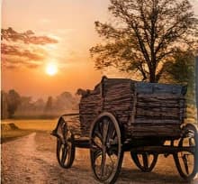An old wooden cart on a village path at sunset