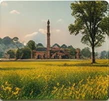 A historic mosque beyond green Punjab fields