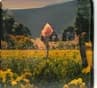 A figure in a field of yellow flowers
