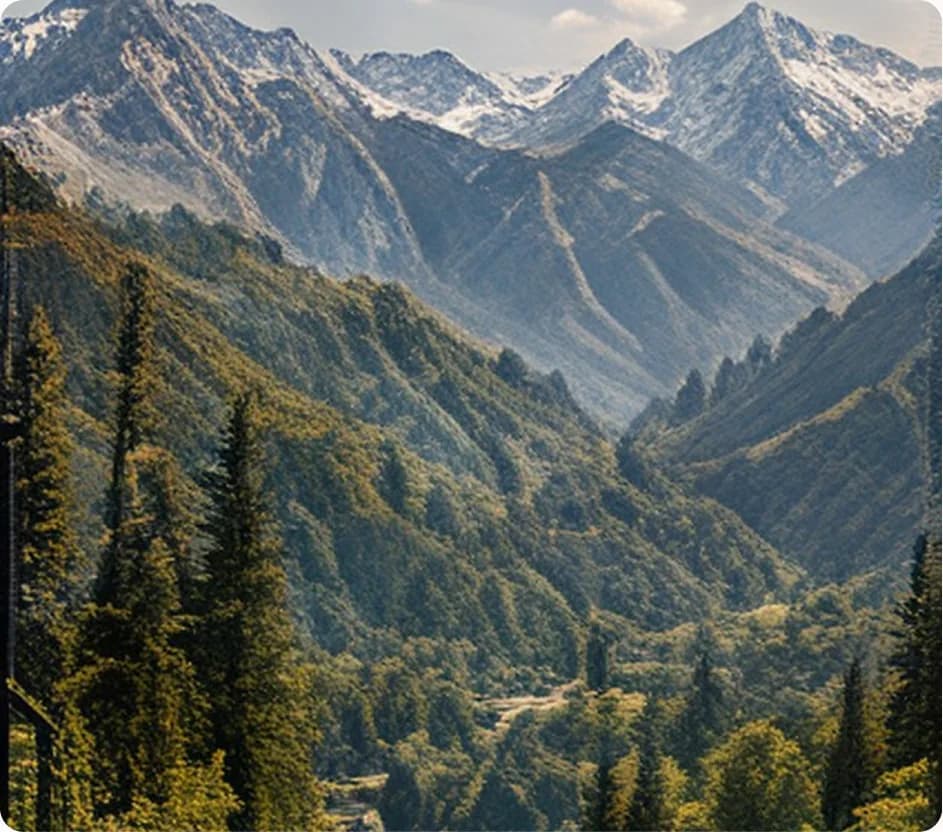 Snow-capped mountains above a forested valley
